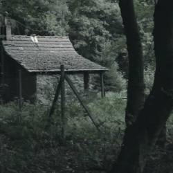 Symbiosis (SVK) : Wider Than Fantasy